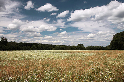 BUITEN BEELD Foto: 151468