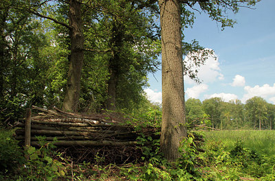 BUITEN BEELD Foto: 151493