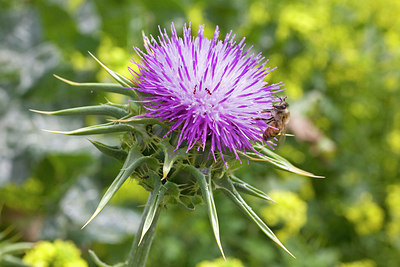 BUITEN BEELD Foto: 151518