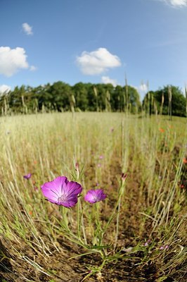 BUITEN BEELD Foto: 151655