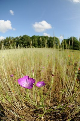 BUITEN BEELD Foto: 151655