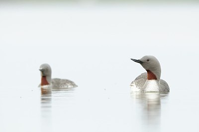 BUITEN BEELD Foto: 151665