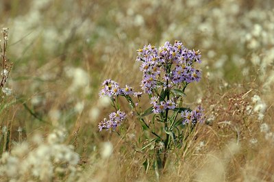 BUITEN BEELD Foto: 151675