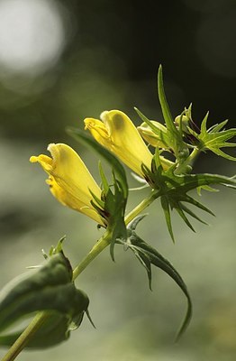 BUITEN BEELD Foto: 151682