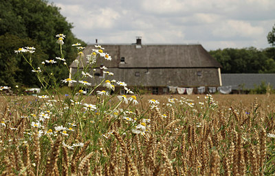 BUITEN BEELD Foto: 151686