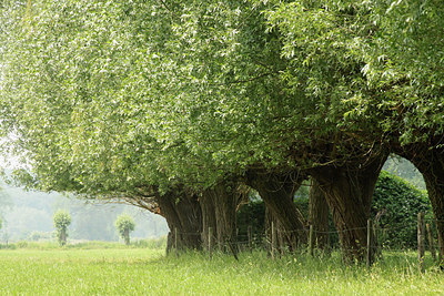 BUITEN BEELD Foto: 151692