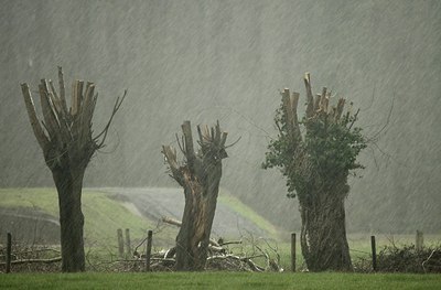 BUITEN BEELD Foto: 151721