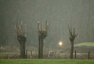 BUITEN BEELD Foto: 151722