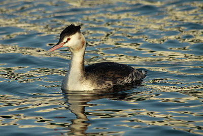 BUITEN BEELD Foto: 151724