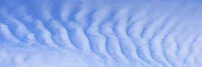 BUITEN BEELD Foto: 151738