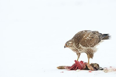 BUITEN BEELD Foto: 151762