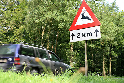 BUITEN BEELD Foto: 151777