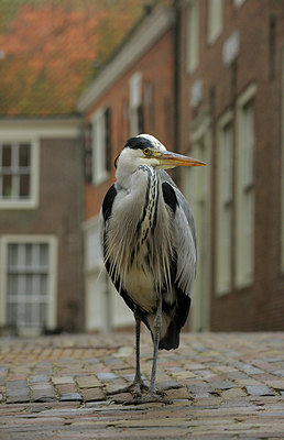 BUITEN BEELD Foto: 151844