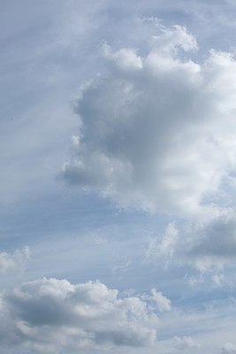 BUITEN BEELD Foto: 151856