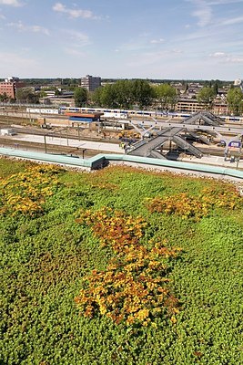 BUITEN BEELD Foto: 151903