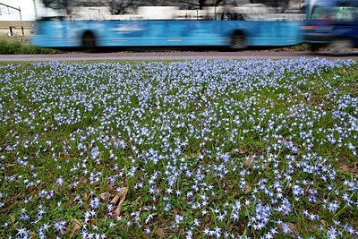 BUITEN BEELD Foto: 152341