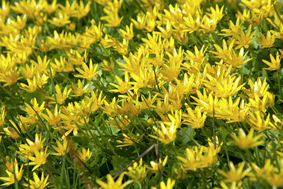 BUITEN BEELD Foto: 152347