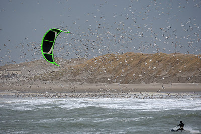BUITEN BEELD Foto: 152414