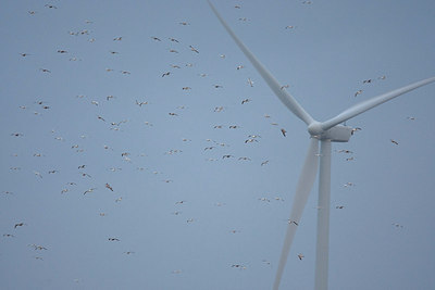 BUITEN BEELD Foto: 152416