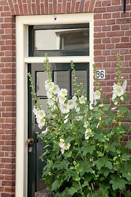 BUITEN BEELD Foto: 152433