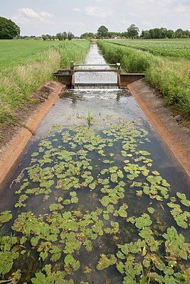 BUITEN BEELD Foto: 152443