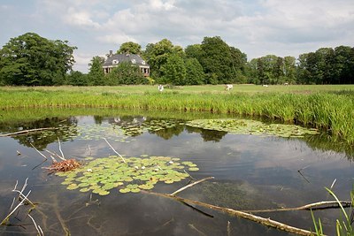 BUITEN BEELD Foto: 152459