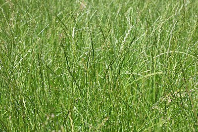 BUITEN BEELD Foto: 152470