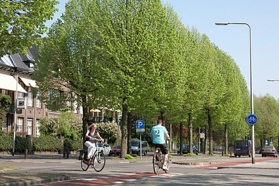 BUITEN BEELD Foto: 152489
