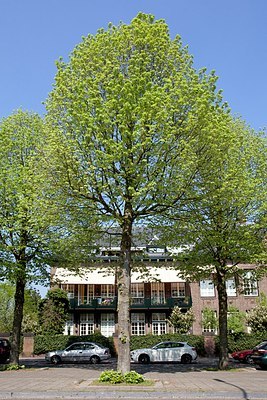 BUITEN BEELD Foto: 152490