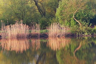 BUITEN BEELD Foto: 152563