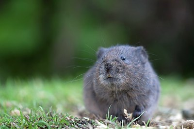 BUITEN BEELD Foto: 152567