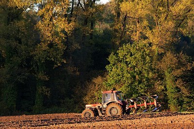 BUITEN BEELD Foto: 152573