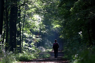 BUITEN BEELD Foto: 152587