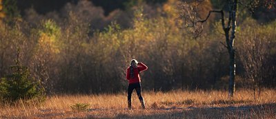 BUITEN BEELD Foto: 152589