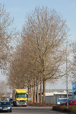 BUITEN BEELD Foto: 152590