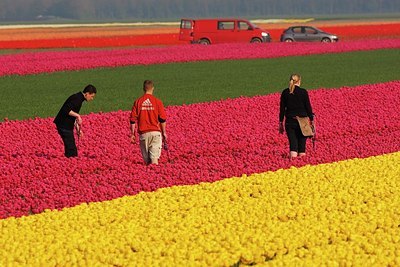 BUITEN BEELD Foto: 152591