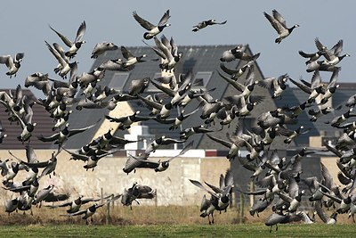 BUITEN BEELD Foto: 152619