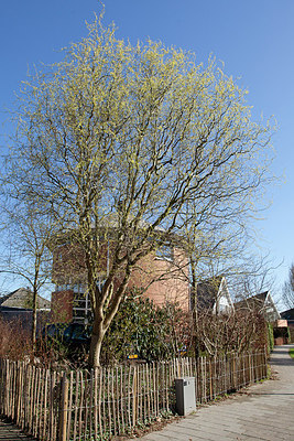 BUITEN BEELD Foto: 152648