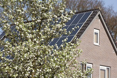 BUITEN BEELD Foto: 152664
