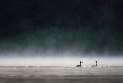 BUITEN BEELD Foto: 152683