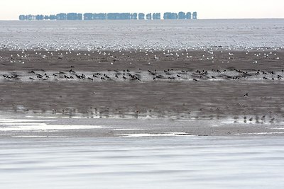 BUITEN BEELD Foto: 152686