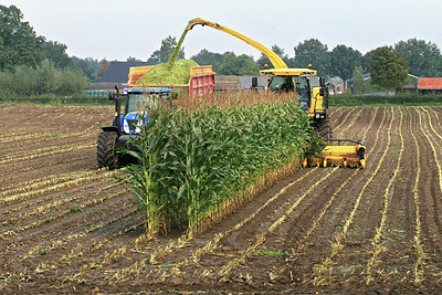 BUITEN BEELD Foto: 152699