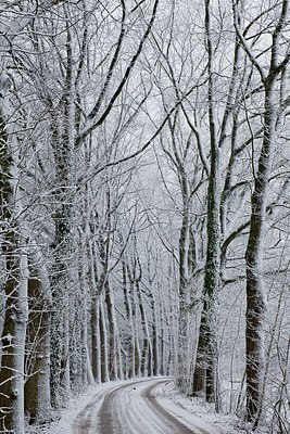 BUITEN BEELD Foto: 152716
