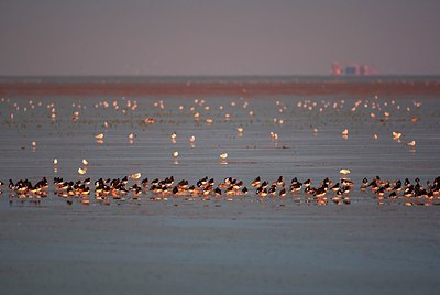 BUITEN BEELD Foto: 152745