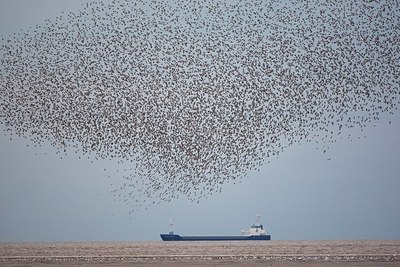 BUITEN BEELD Foto: 152750