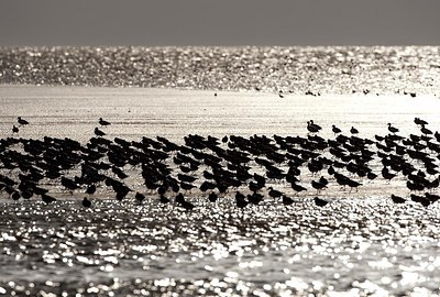 BUITEN BEELD Foto: 152751
