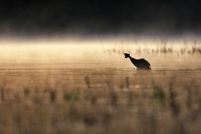 BUITEN BEELD Foto: 152763