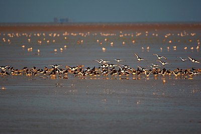 BUITEN BEELD Foto: 152764