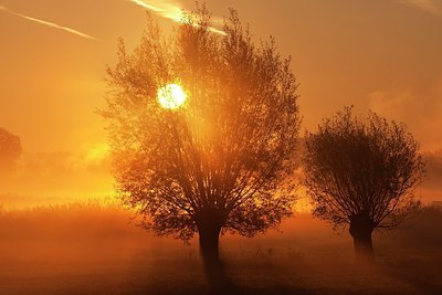 BUITEN BEELD Foto: 152770