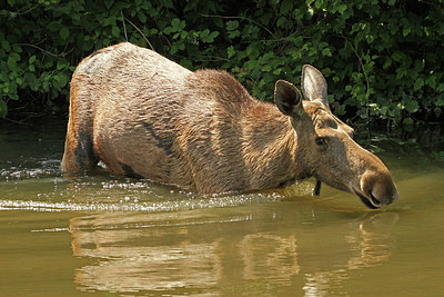 BUITEN BEELD Foto: 152795